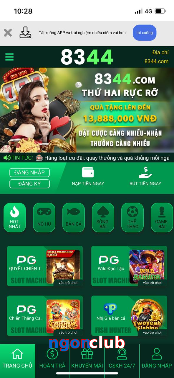 ngonclub